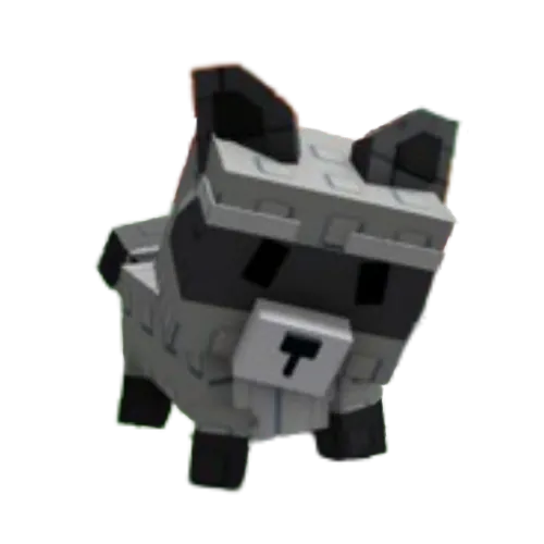 Racoon Pet