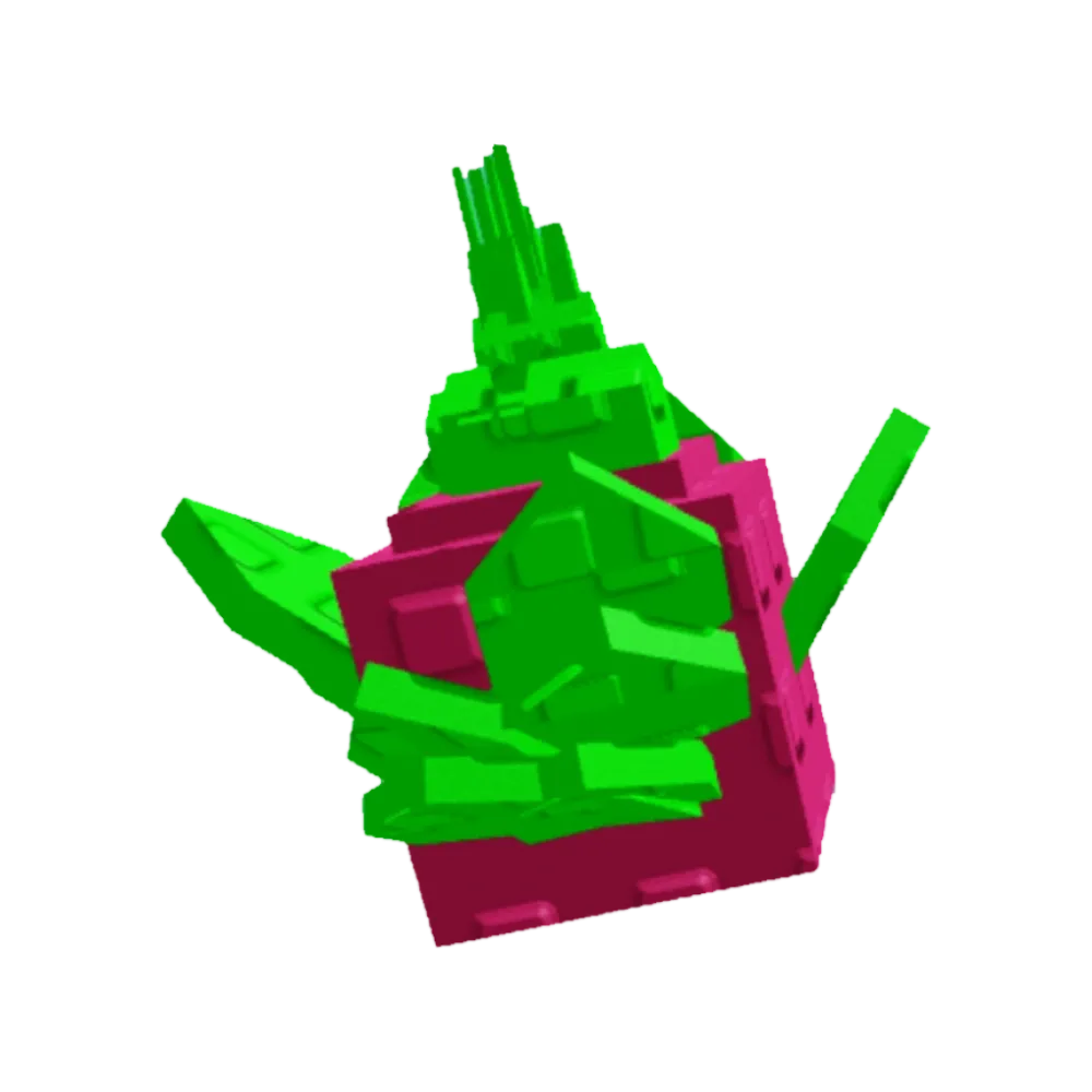 Dragon Fruit Seed