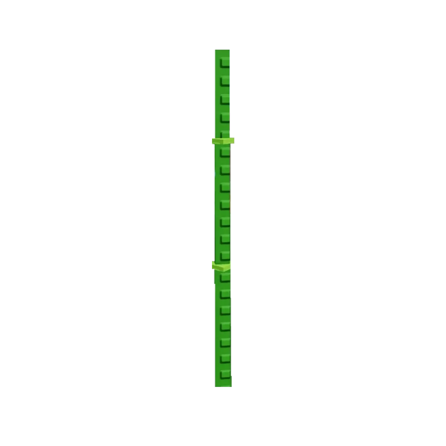Bamboo
